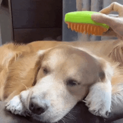 Cepillo Vaporizador 3 en 1 para Mascotas: Cuidado y Confort para tu Mejor Amigo